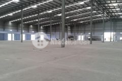 Cho thuê kho xưởng đường 304, phường 9, thành phố vũng tàu