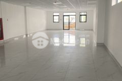 Cho thuê villa hồ bơi lạc long quân vũng tàu ra biển 500m rộng 220m² villa mới đẹp