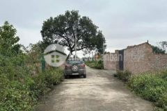 Bán đất vườn song phương hoài đức xây nhà xưởng, nghỉ dưỡng 387m, mt 14m giá 1.7 tỷ