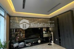 Bán nhà phố nguyễn văn cừ, 5 tầng, dt 45m2, mt 5.9m, giá 12.9 tỷ, dân xây thang máy