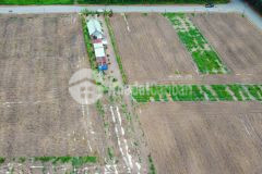 Cần bán 1 lô liền kề hơn 1000m2 kế bên kcn becamex, gần chợ, khu dân cư, sổ sẵn.