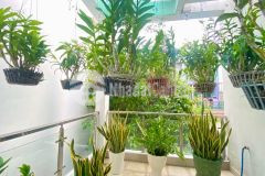 Nhà vip quận tân phú tân thành đường 8m hơn 60m2 chốt 7.x tỷ