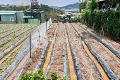 Bán 105m2 đất sổ riêng, phường 7 tp đà lạt, đường ô tô nguyễn hoàng, 2tỉ, lh 0888 113 882