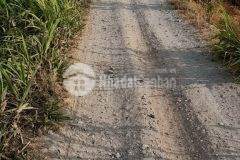 B.á.n 3,5 công ruộng giáp ranh tp gò công, tiền giang