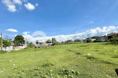 Cơ hội vàng sở hữu đất bình chánh sài gòn giá chỉ 27,5 triệu không thể rẻ hơn