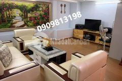 Bán nhanh mặt tiền đắc địa bàu cát tân bình tiếp khách thiện chí shr giao ngay.