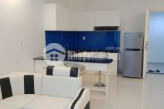 Bán biệt thự mới xây tâm huyết gia đình đang sinh sống góc 2 mặt tiền khu á châu vũng tàu