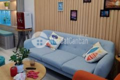 Cần bán gấp khách sạn 12 tầng mặt tiền hoàng hoa thám gần biển bãi sau vũng tàu