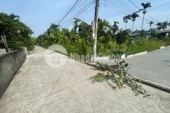 Bên e mở bán 4lô hàng f0 tại ngõ 79 đại thắng hòa nghĩa dương kinh hp