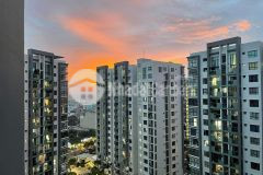 Celadon city, bán ch 2pn,1wc giá 3tỷ250 full nt