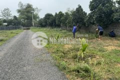 Bán ô góc đất rừng đẹp làm trang trại cực kỳ chất tại thanh vân, tam dương, vĩnh phúc.