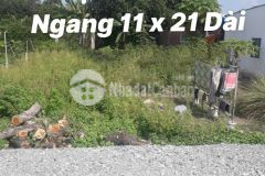 Lô đất chỉ 1trm2 ở tân phú trung, củ chi. đường 8m,shr giá chỉ 250tr.