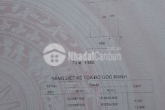 Lô đất hẻm 60 hoàng hữu nam dt 64m giá đầu tư