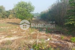 Bán đất 2 mặt tiền bà thiên, 43x140, 5582m2, 1722m2 thổ, 15 triệum2