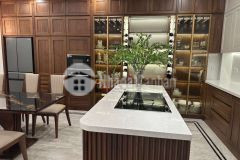 Nhà phố đào tấn dt 100m, 5 tầng, mt6,2m, 17 tỷ.