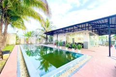 Bán nhà vườn mặt tiền tỉnh lộ 7, xã trung lập hạ, củ chi, tp. hcm