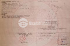 Bán đất biệt thự đường 206 long thuận p. long phước quận 9 tp thủ đức 1469m2