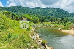 Bán đất vườn khánh phú giáp sông cầu view sông núi hữu tình