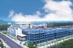 Chào đón những chủ nhân đầu tiên của l aurora phu yen