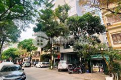 Bán gấp nhà phố trần quý cáp, 2 thoáng, ô tô tránhdt 95m2, 4tầng, mt 5m, 18.5tỷ