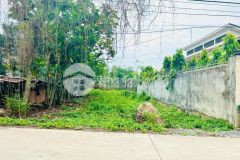 Đất mặt tiền 500m2 bán nhanh giá ngộp 400tr nở hậu công chứng liền.