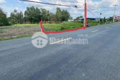 Đất đẹp 16.5x50m nở hậu 30m, thổ vườn mặt tiền đt 816, thạnh hòa, bến lức, long an