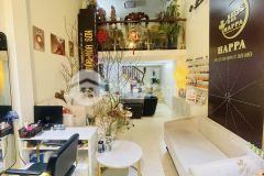 Duy nhất nhà phố quang trung gần ngay ngô thì nhậm và phố cầu đơ 42m2 giá gần 150trm2