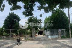 Cho thuê 1200m2 xưởng 2 mặt tiền đường, xã bình lợi, bc, giá cực tốt