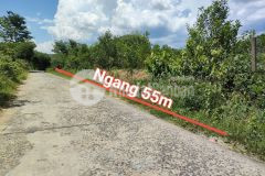 Bán đất vườn khánh hiệp giá rẻ đường thông gần uỷ ban xã