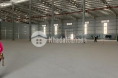 Cho thuê kho, xưởng tại ccn chỉ đạo. văn lâm. hưng yên giá tốt
