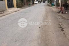 Bán đất tặng nhà mặt đường buôn bán kinh doanh sầm uất tại bàng la đồ sơn hp