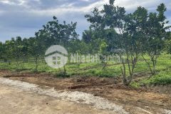 Đầu tư lô đất thuỷ xuân tiên, chương mỹ, hà nội giá 22trm2 lh 0904671800