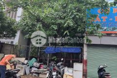 Bán đất phố trịnh công sơn,diện tích 65m2,giá 11.5 tỷ