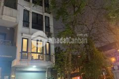 Bán nhà đẹp phố đội cấn 40m2, 5t, mt4.4m vỉa hè 3m kinh doanh đỉnh quận ba đình