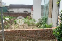 Bán đất xã bắc hồng, huyện đông anh 50m2 sổ đỏ vuông vắn