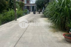 Cần bán miếng đất 110m2 ở tân hiệp hóc môn giá 550 triệu.