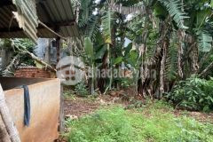 Bán đất tại thị xã phước long, sẵn shr 400m2 có 100m2 thổ cư chỉ 1.85 tỷ. lh0902912542