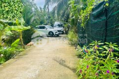 Đất giá rẻ bà tư gạo, phước thạnh, tp mỹ tho