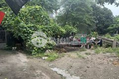 Bán đất tam thuấn, phúc thọ 253m, chia được 5 lô, giá đầu tư.