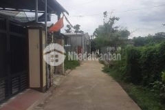 Đất chiết bi, phú thượng gần đường chính tỉnh lộ 10 đối diện khu đô thị phú mỹ thượng.