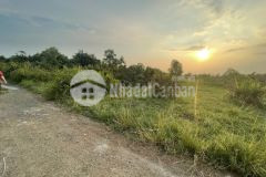 Bán đất vườn long phước, 379 tỷ với diện tích 33.000m2