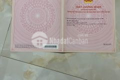 Bán nhà cấp 4 ngay tthc huyện gò quao 72.5m2 shr chỉ 1.6 tỷ. lh0988679171.