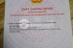 Bán đất huyện gò quao, kiên giang, 1981.8m2 sẵn shr chỉ 100trm. lh0988679171