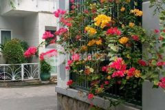 Bán nhà đẹp 5 tầng, hxh, gần thành thái, quận 10, 51 m2, 12.5 tỷ tl