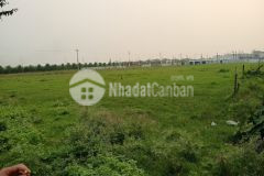 Chuyển nhượng qsd đất cn tại huyện văn giang. hưng yên