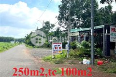 250m2 đât măt tiên đương nhưa tx chơn thanh, chi 395tr, sô săn