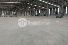 Cho thuê 3.000m2 nhà xưởng khu cn nam sơn hạp lĩnh bắc ninh