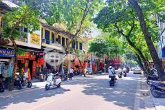 Mặt phố hàng bông, hoàn kiếm 262m2 x 2 tầng, mt 5.5m liên hệ 0969568293