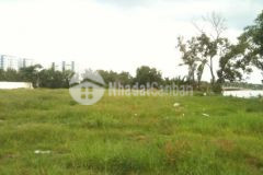 218 cho thuê 989m2 đất mặt tiền thủ khoa huân trung tâm phường 1