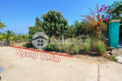 Bán đất diên xuân giá rẻ đường thông gần tỉnh lộ 8 đất dân cắt sổ sẵn